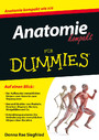 Anatomie kompakt für Dummies